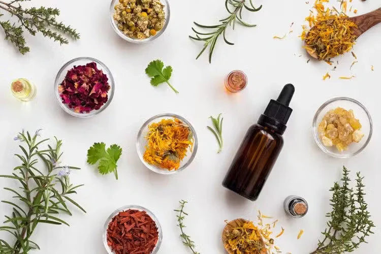 Why Herbal Oils Work Better Than Pills